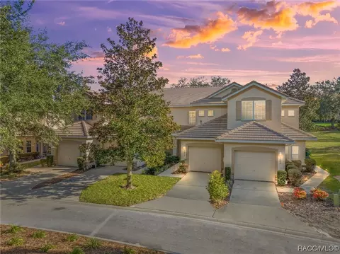 1648 W Spring Meadow Loop, Lecanto, FL 34461 photo 6