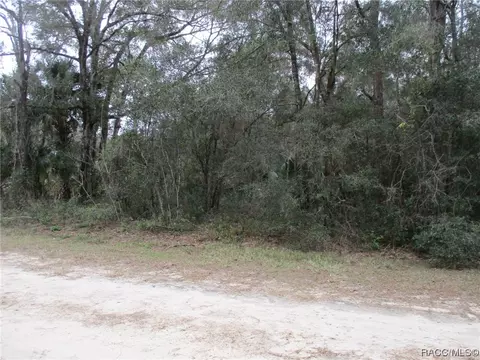 8302 N Ocoee Ter, Crystal River, FL 34428 photo 2