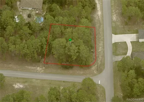 1311 W Valiant Pl, Citrus Springs, FL 34434