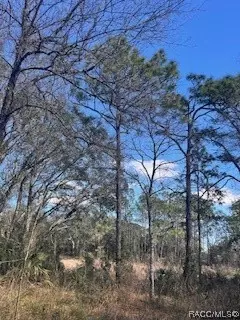 4909 S Grand Circle Ter, Homosassa, FL 34446