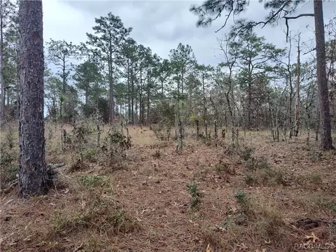 0000 SE 139th Ct, Dunnellon, FL 34431