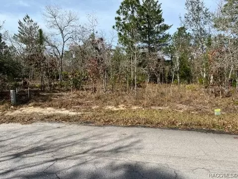 27 Nemesia Ct E, Homosassa, FL 34446