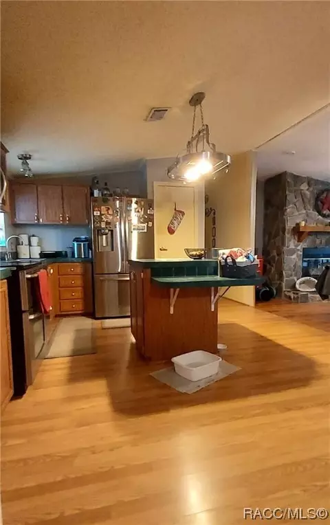 898 E La Salle St, Hernando, FL 34442 photo 7