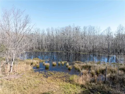 8151 SE 123rd Ave, Jasper, FL 32052 photo 48