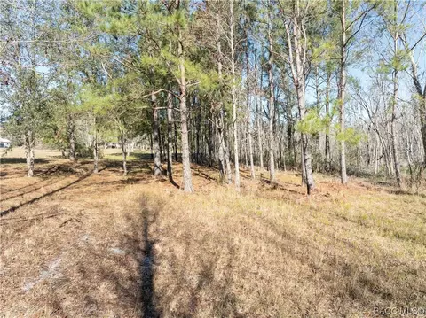 8151 SE 123rd Ave, Jasper, FL 32052 photo 42