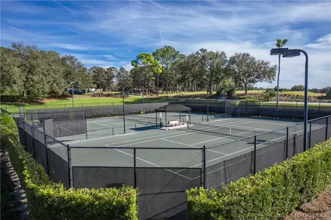 425 E Lancaster St, Lecanto, FL 34461 photo 59