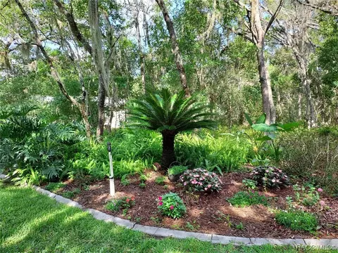 425 E Lancaster St, Lecanto, FL 34461 photo 6