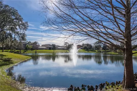 425 E Lancaster St, Lecanto, FL 34461 photo 72