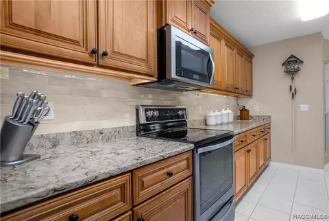425 E Lancaster St, Lecanto, FL 34461 photo 19