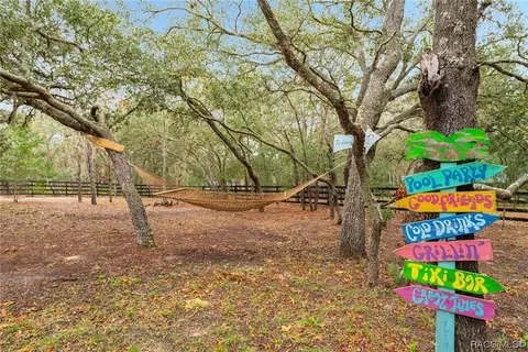 303 W Liberty St, Hernando, FL 34442 photo 62