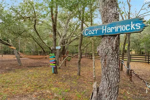 303 W Liberty St, Hernando, FL 34442 photo 61