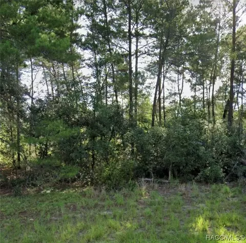 tbd SW 55 Ct Rd, Ocala, FL 34473