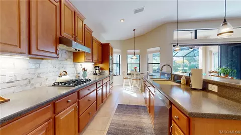 1462 W Crossview Way, Hernando, FL 34442 photo 19