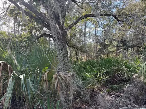 9154 N Bromeliad Ter, Crystal River, FL 34428