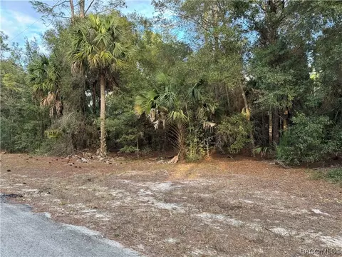 9121 N Peachbud Pt, Crystal River, FL 34428