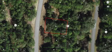 9171 N Alameda Dr, Citrus Springs, FL 34434