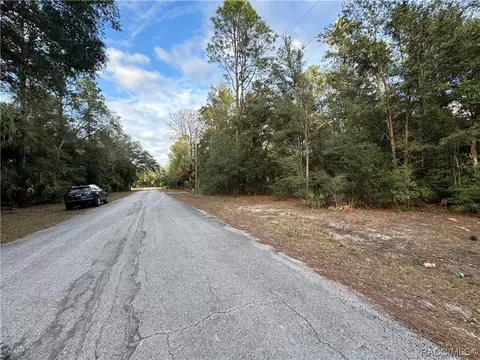 9153 N Peachbud Pt, Crystal River, FL 34428