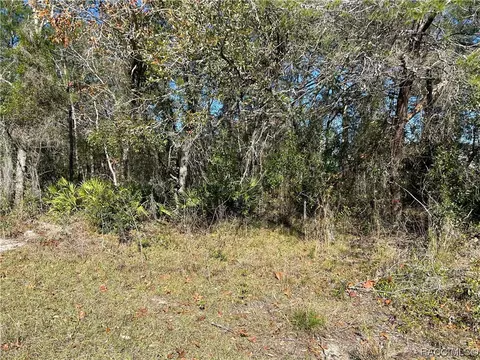 6883 W Merrivale Ln, Homosassa, FL 34446