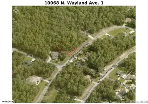 10068 N Wayland Ave, Citrus Springs, FL 34434