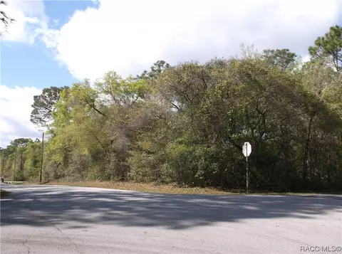 364 N Dugan Ave, Inverness, FL 34453