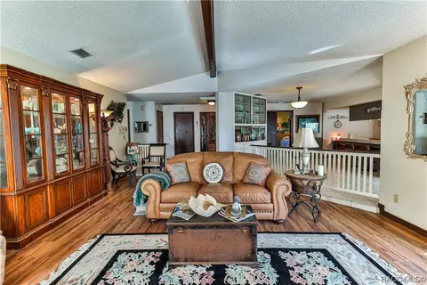 Living - 250 E Hartford St, Hernando, FL 34442 photo 2 of 3