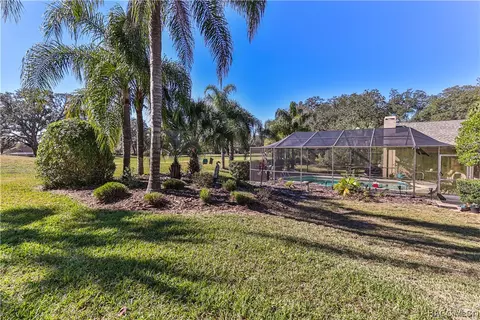 View/Area - 250 E Hartford St, Hernando, FL 34442 photo 1 of 2