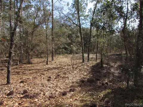35 Northwest Ridgewood Road, Dunnellon, FL 34431