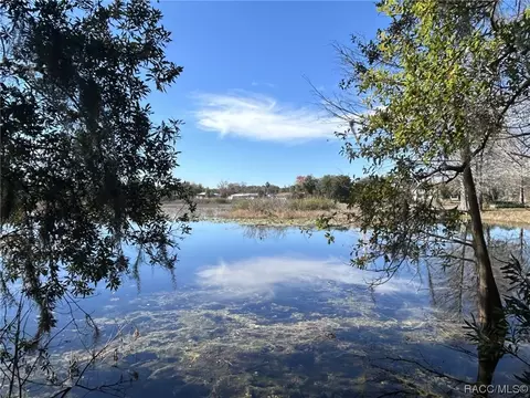 6310 N Shorewood Dr, Hernando, FL 34442