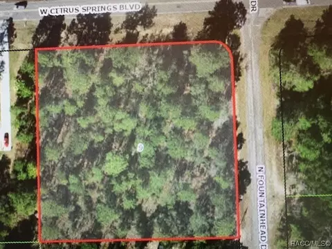 3522 W Citrus Springs Blvd, Citrus Springs, FL 34433