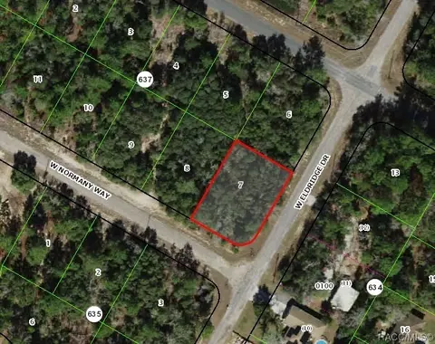7611 W Normandy Pl, Citrus Springs, FL 34433