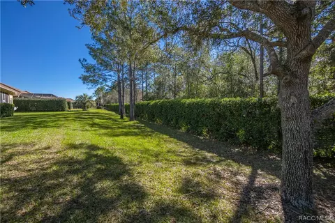 Exterior - 1784 W Laurel Glen Path, Hernando, FL 34442 photo 8 of 10