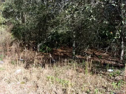 79 S 81 S Croft Ave, Inverness, FL 34453