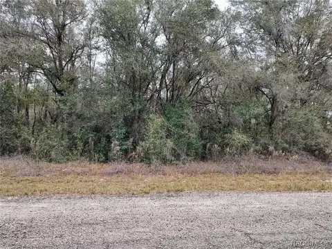 7931 N Cedro Rd, Citrus Springs, FL 34434