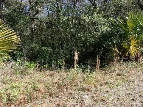 59 S Croft Ave, Inverness, FL 34453