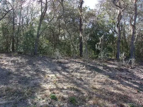 46 S Fitzpatrick Ave, Inverness, FL 34453