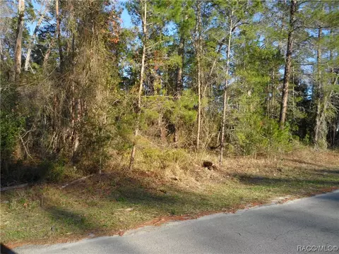 4 Petunias Ct, Homosassa, FL 34446