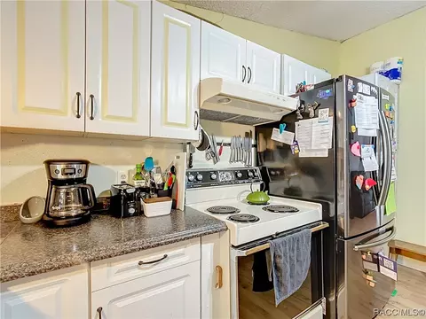 825 N Maynard Ave, Lecanto, FL 34461 photo 17