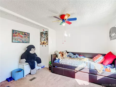 825 N Maynard Ave, Lecanto, FL 34461 photo 30
