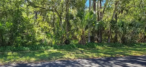 3 Dianthus Ct, Homosassa, FL 34446
