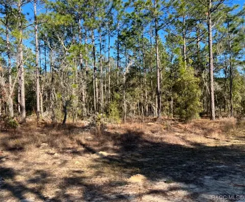 0 SW 54 Lane Rd, Ocala, FL 34481