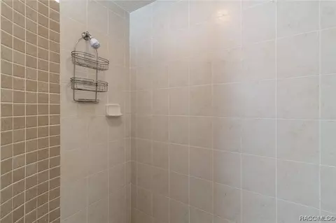 Bath - 4604 N Webster Island Ter, Hernando, FL 34442 photo 5 of 7