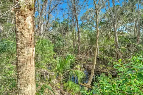 175 Park St, Inglis, FL 34449 photo 6