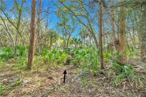175 Park St, Inglis, FL 34449 photo 8