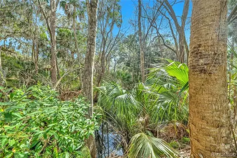 175 Park St, Inglis, FL 34449 photo 5