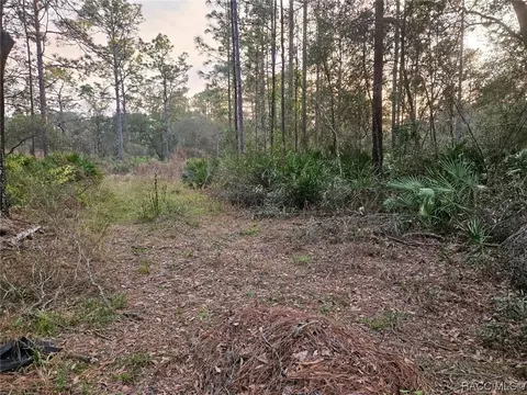 394 N Florene Pt, Crystal River, FL 34429