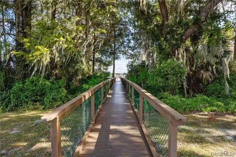 View/Area - 3738 E Lake Todd Dr, Hernando, FL 34442 photo 5 of 7