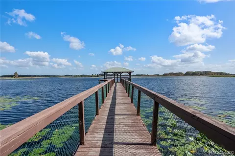 View/Area - 3738 E Lake Todd Dr, Hernando, FL 34442 photo 6 of 7