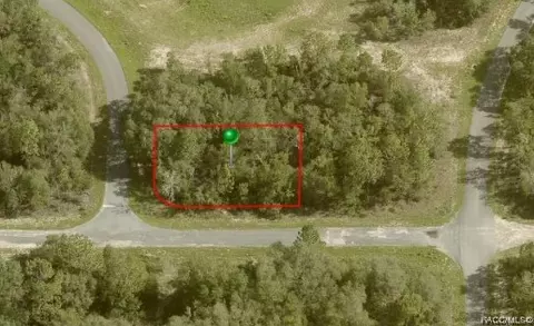 1389 W Pendleton St, Citrus Springs, FL 34434