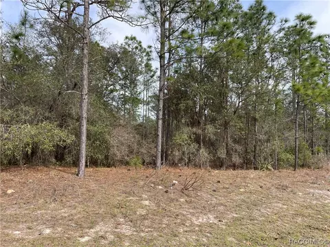 3311 W Crandon Dr, Citrus Springs, FL 34433