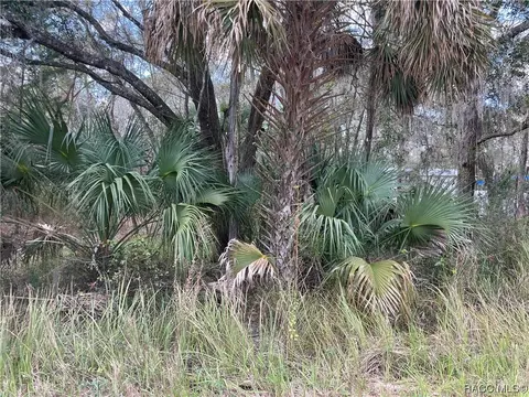 15105 Carolina Dove Rd, Weeki Wachee, FL 34614